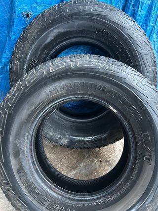 Ruedas de de larrover 2 ruedas