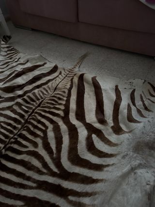 Alfombra Piel Cebra Auténtica