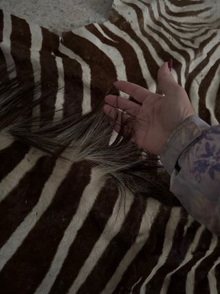 Alfombra Piel Cebra Auténtica