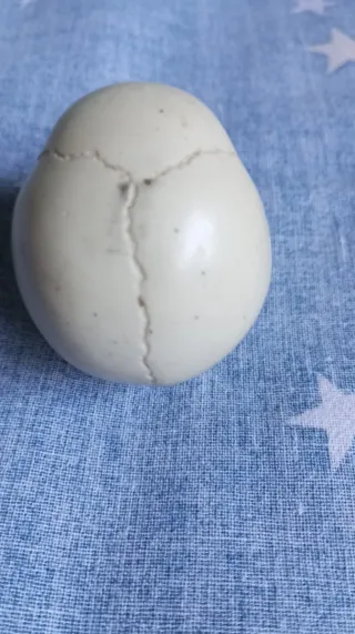 Teschio decorativo cm. 4,5