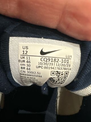 Nike Cross Trainer Blancas y Azules