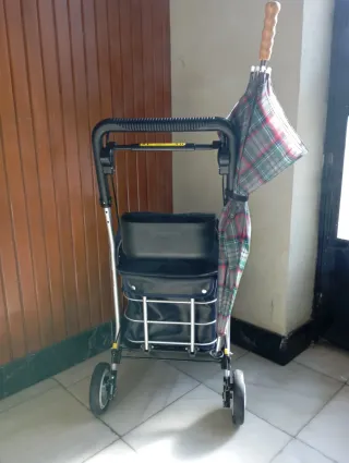 Andador Carlett (Nuevo) | Modelo: Lett800 Comfort.