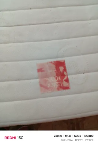 Cama Articulada Metálica con colchón de latex