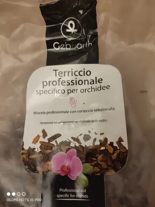 Vaso trasparente con sottovaso per orchidee