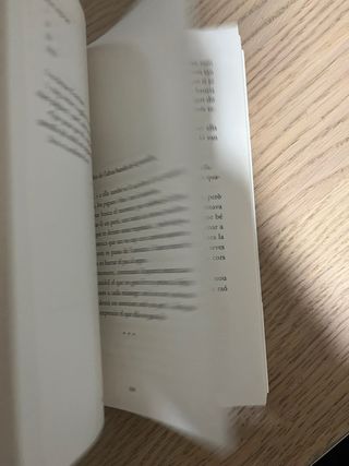 Invisible (edició en català)