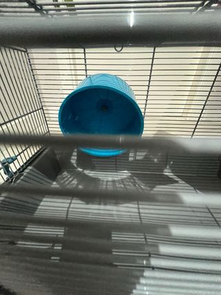 Jaula para hámster con accesorios