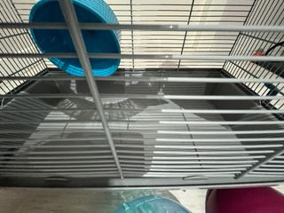 Jaula para hámster con accesorios