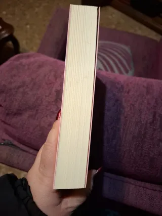 Persiguiendo a Silvia (Saga Silvia 1)