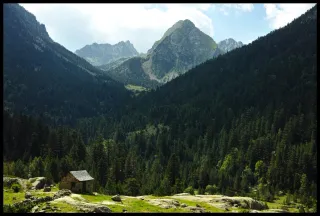 Sigma Dp2 Merrill Cámara Digital