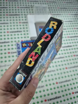 Rodland Game Boy
