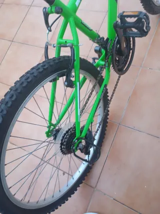 Bicicleta B-Pro 24 Montaña