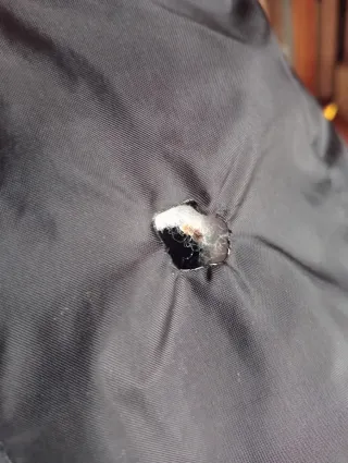 Giubbotto Colorado Buffaloes vintage - Nike