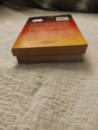 LOTE DE LIBROS: TEMPLARIOS