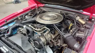 pontiac Mustang 1980