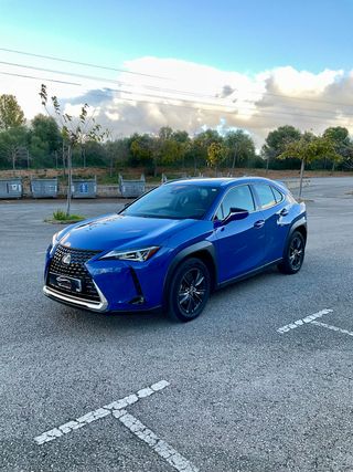 Lexus UX 2.0 250h Business