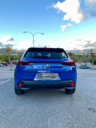 Lexus UX 2.0 250h Business