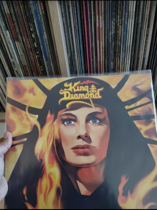 Exteriores 100 Fundas vinilo LP Antiestáticas
