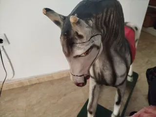 2 Caballos Balancín Antiguos