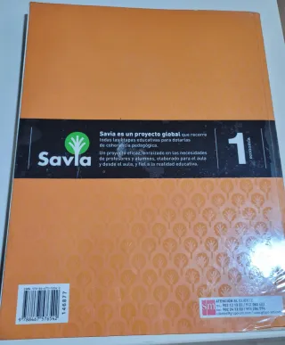 Economía. 1 Bachillerato. Savia (Spanish Edition)
