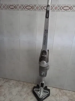 Aspiradora Rowenta Air Force Extreme