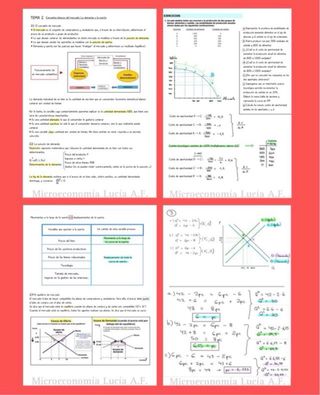 Apuntes Comercio y Marketing UNIOVI