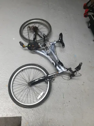 Bicicleta Joven Plata