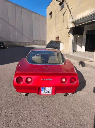 Chevrolet Corvette 1981