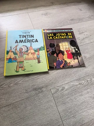 Libros clásicos "Robinson-príncipe- sawyer-alicia