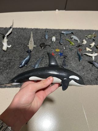 Juguetes animales marinos