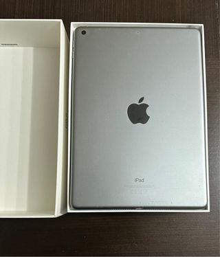 Apple iPad 6ª Gen Plata