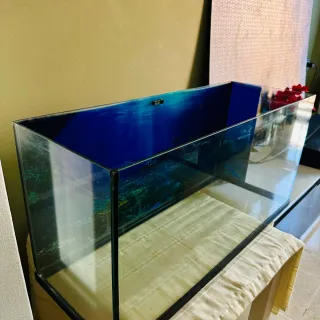 Pecera grande con fondo marino más accesorios.