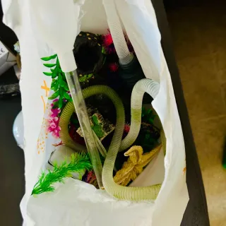 Pecera grande con fondo marino más accesorios.