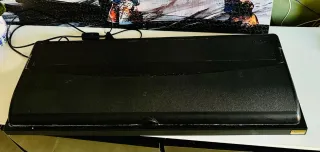 Pecera grande con fondo marino más accesorios.