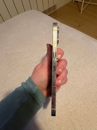 iPhone 12 Pro Max 256GB Plata