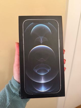 iPhone 12 Pro Max 256GB Plata