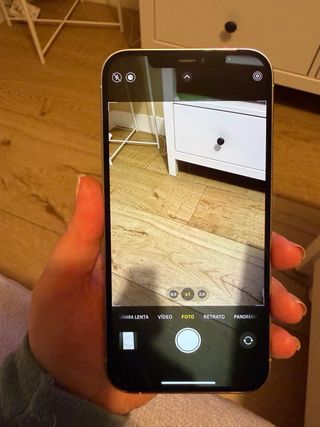 iPhone 12 Pro Max 256GB Plata