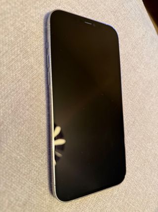 iPhone 12 Pro Max 256GB Plata