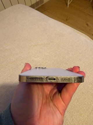 iPhone 12 Pro Max 256GB Plata