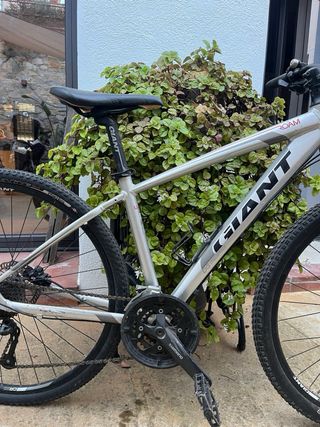 Bicicleta Giant Roam Talla S
