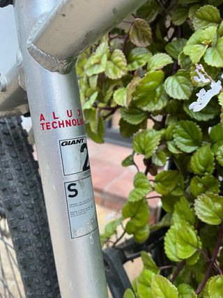 Bicicleta Giant Roam Talla S