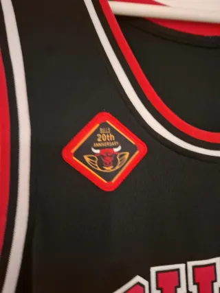 Camiseta NBA Chicago Bulls Jordan 23