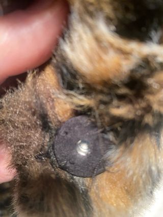 Abrigo H&M pelo sintético leopardo