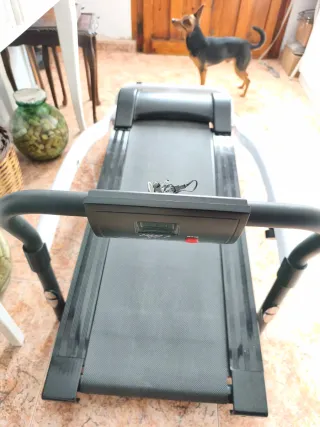 Cinta de correr manual