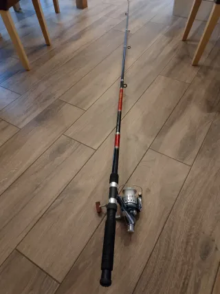 Canna da pesca con mulinello