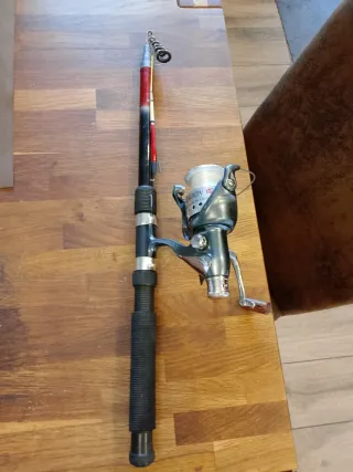 Canna da pesca con mulinello