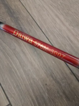 Canna da pesca con mulinello