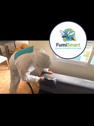 Limpieza profesional de muebles y tapicerías