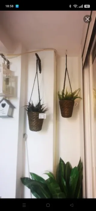 Dos macetas colgantes