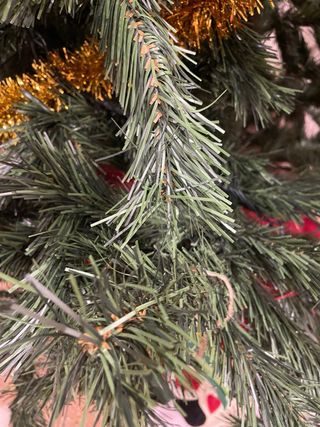 Árbol de Navidad (sin adornos)