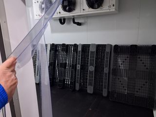 Cámara de congelación industrial